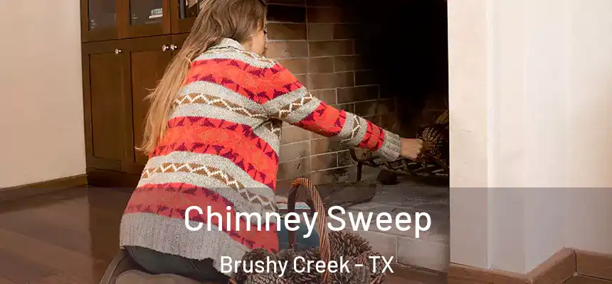  Chimney Sweep Brushy Creek - TX