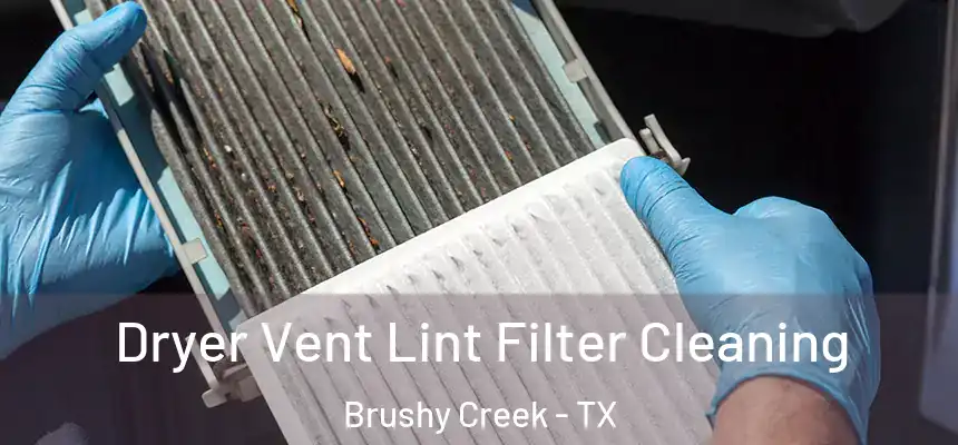  Dryer Vent Lint Filter Cleaning Brushy Creek - TX