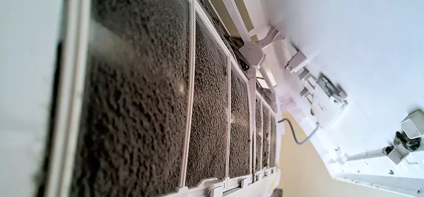 Preventive Air Duct Bacteria Removal in Brushy Creek