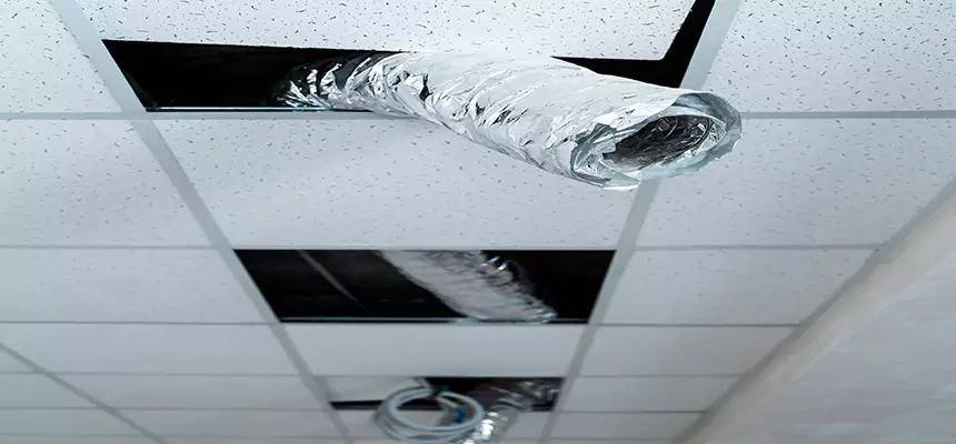 Our Air Duct Pet Hair Removal Services in Brushy Creek, TX