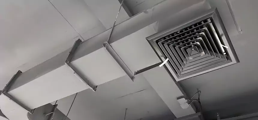 Restorative Allergy Relief Vent Cleaning – Coil, Blower & Housing Detail in Brushy Creek