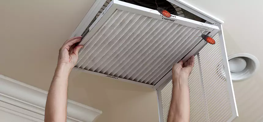 Our Insect Removal from Air Ducts Services in Brushy Creek, TX