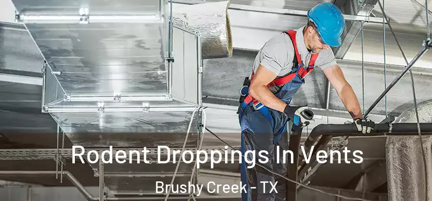  Rodent Droppings In Vents Brushy Creek - TX