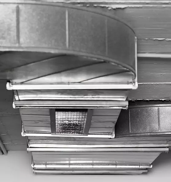 Professional Air Duct Pest Removal in Brushy Creek, TX