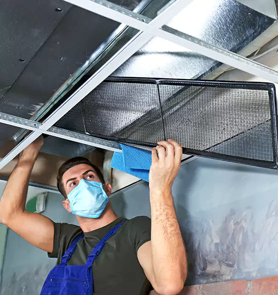 Professional Air Duct Pollen Cleaning in Brushy Creek, TX