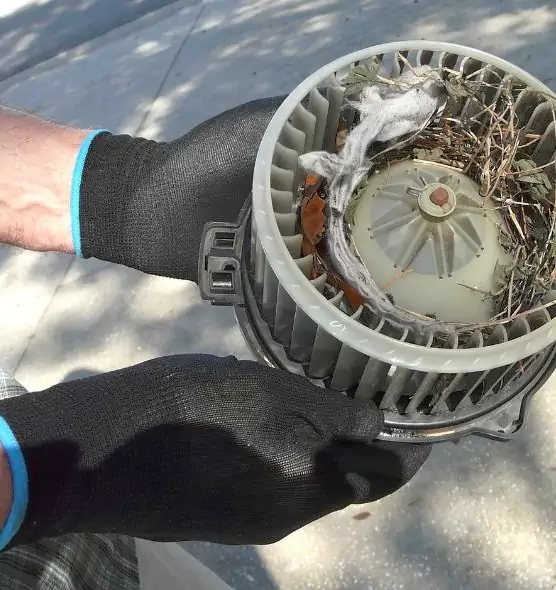 About Air Duct Rat Removal in Brushy Creek, TX