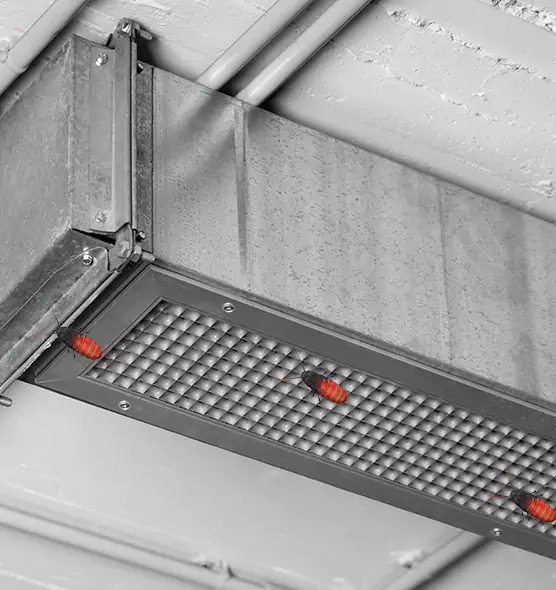 Affordable Insect Removal from Air Ducts in Brushy Creek, TX