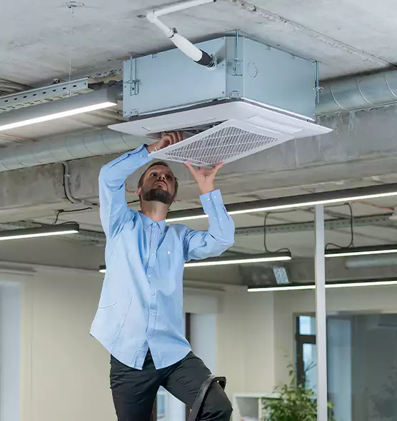 Advanced Rodent Droppings In Vents in Brushy Creek, TX