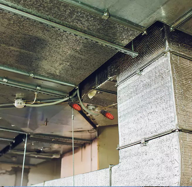 Why Homeowners & Businesses Trust Us in Brushy Creek, TX?