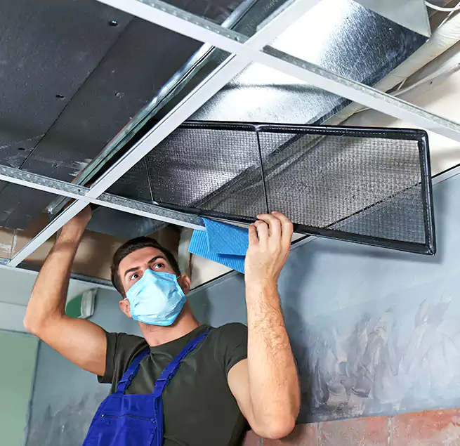 Why Homeowners Businesses Trust Us in Brushy Creek, TX