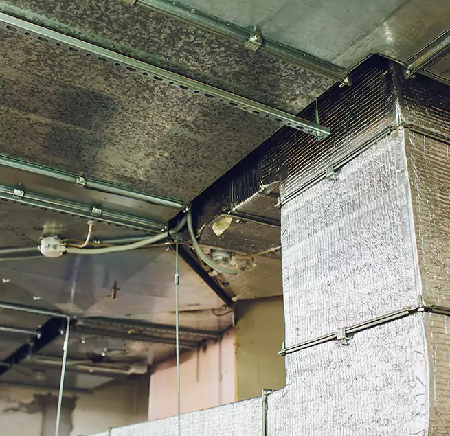 Why Homeowners & Businesses Trust Us in Brushy Creek, TX?