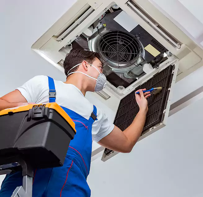 Why Homeowners & Businesses Trust Us in Brushy Creek, TX?